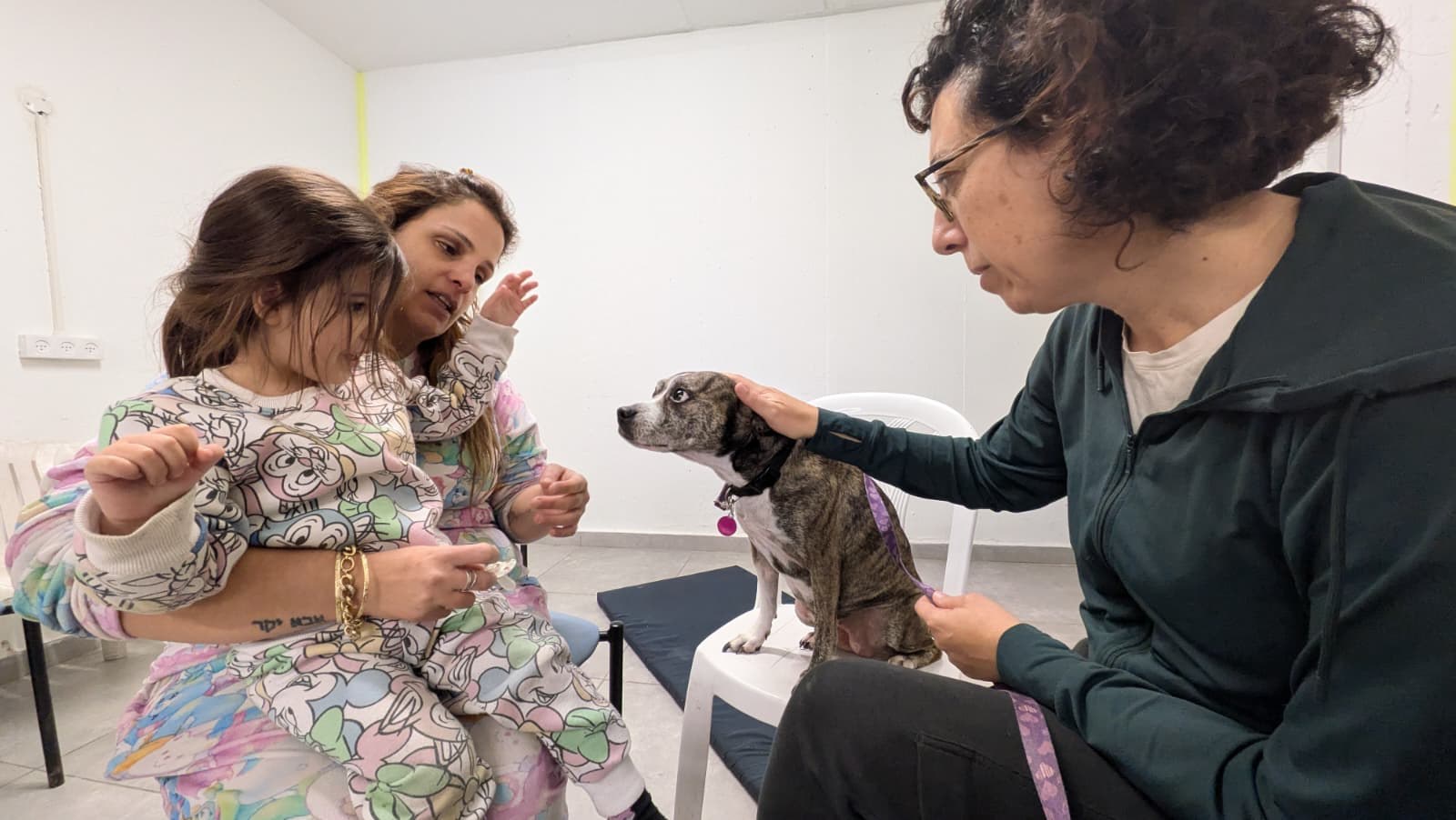 Esti dog corrective experience